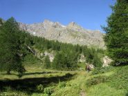 Belle vedute una volta usciti dal bosco