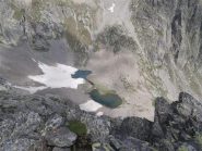 laghi di mezzo.....e che gregge!