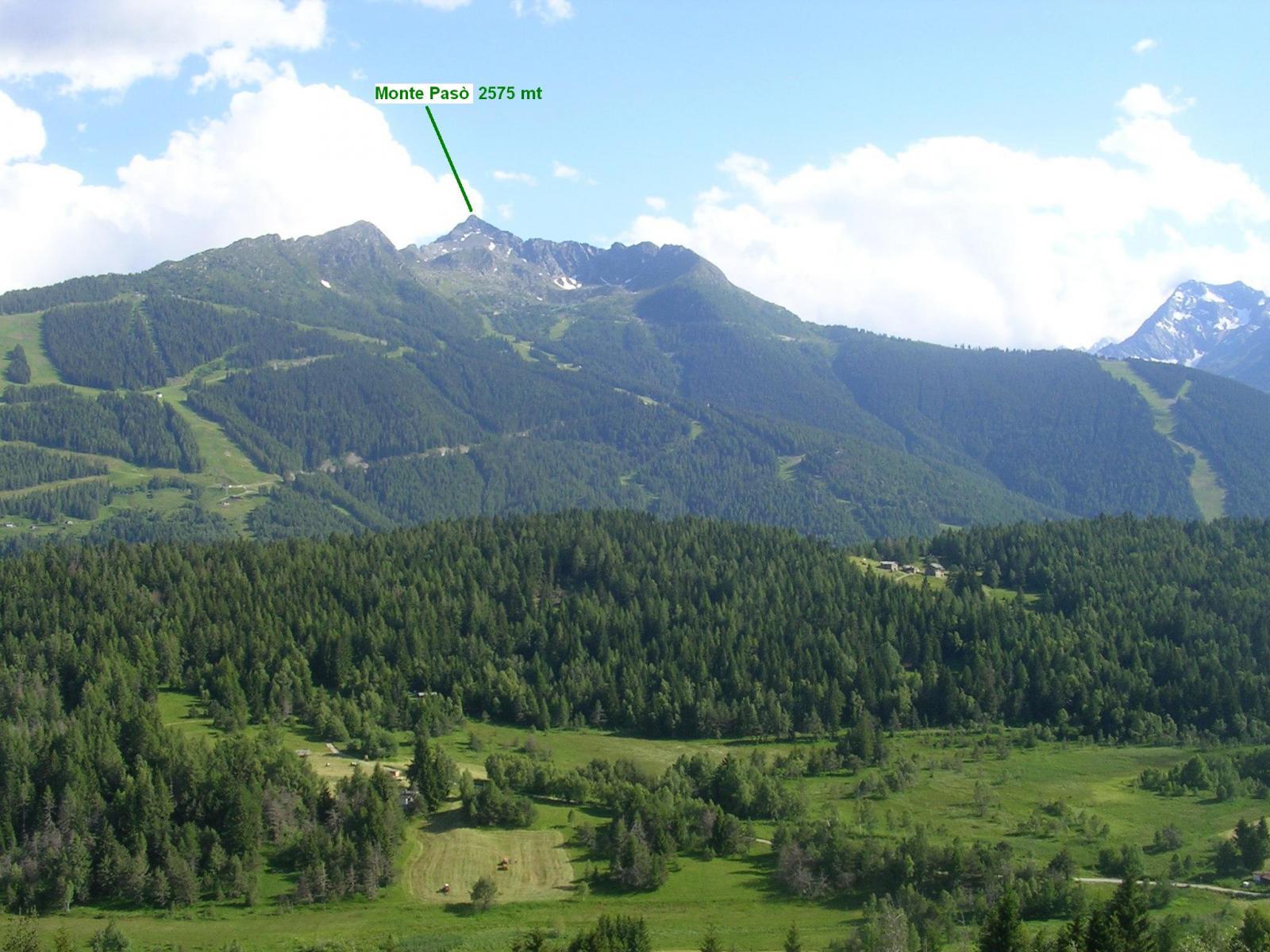 Il Monte Pasò visto da Pian Gembro