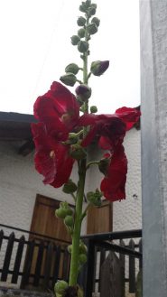 partenza