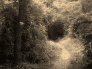 vecchi sentieri partigiani