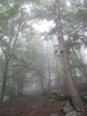 Si sale nella nebbia