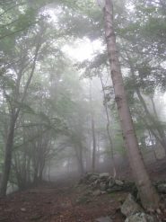 Si sale nella nebbia