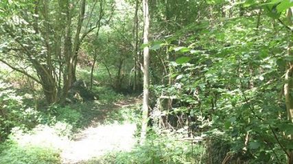 lungo il sentiero verso Pont