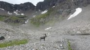 oltre lo Stambecco il Colle Galisia
