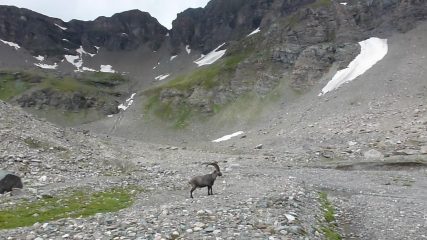 oltre lo Stambecco il Colle Galisia