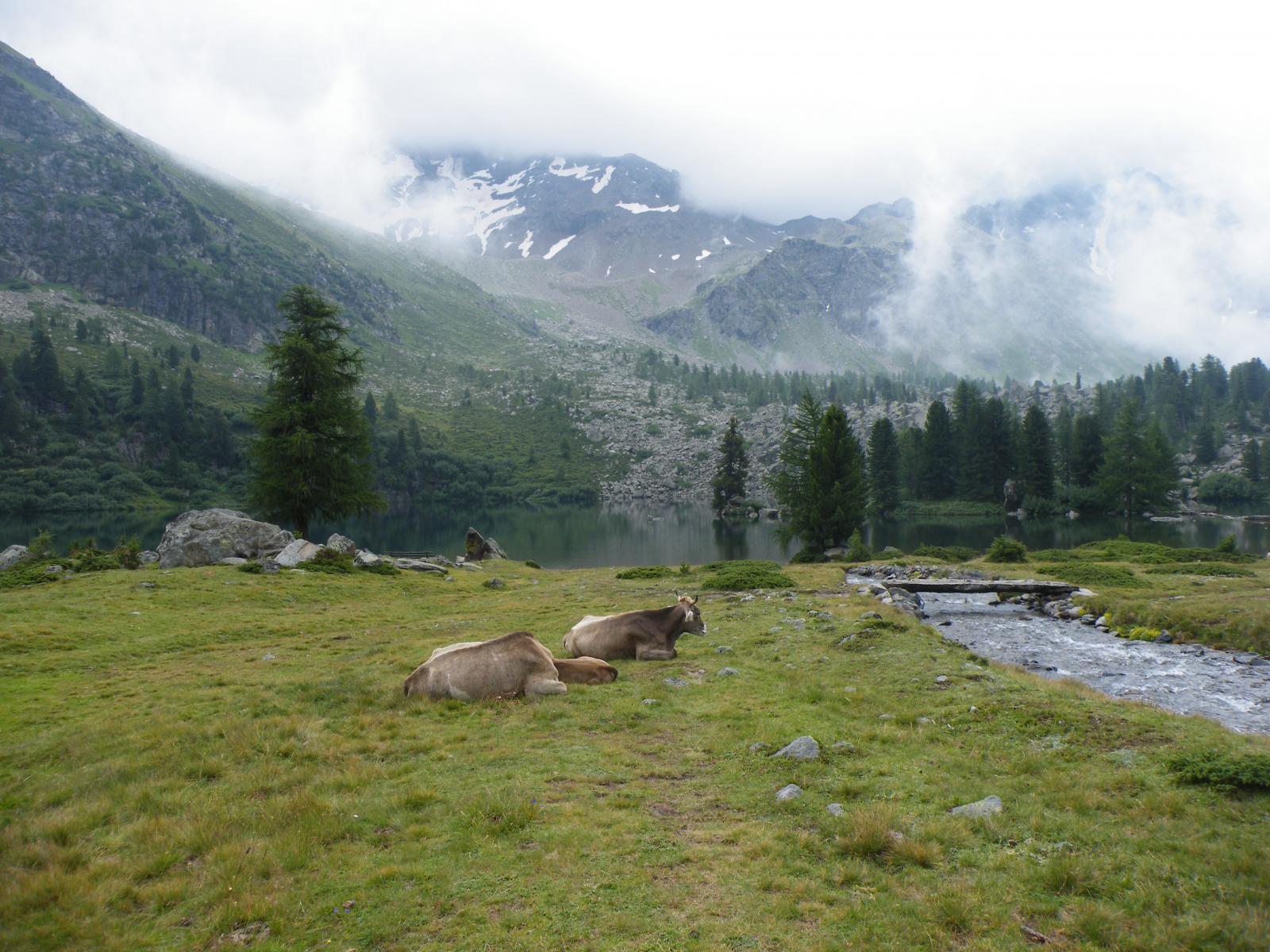 Il Lago da Val Viola