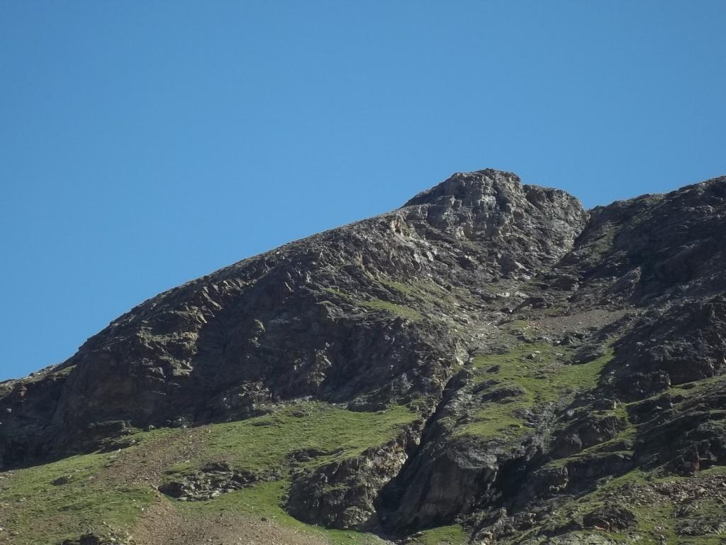 Petite tete Bella Tsa