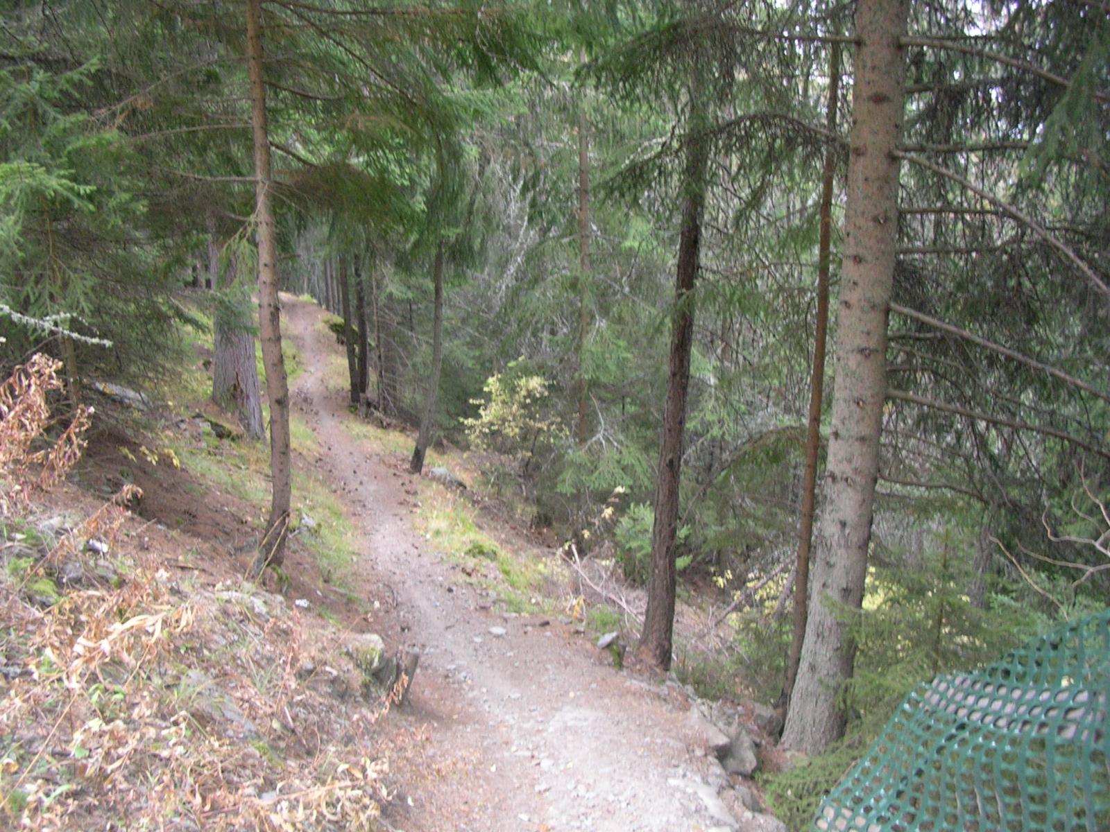 foto autunnali del percorso