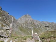 dal colle di Boina la cima del Bric Bucie
