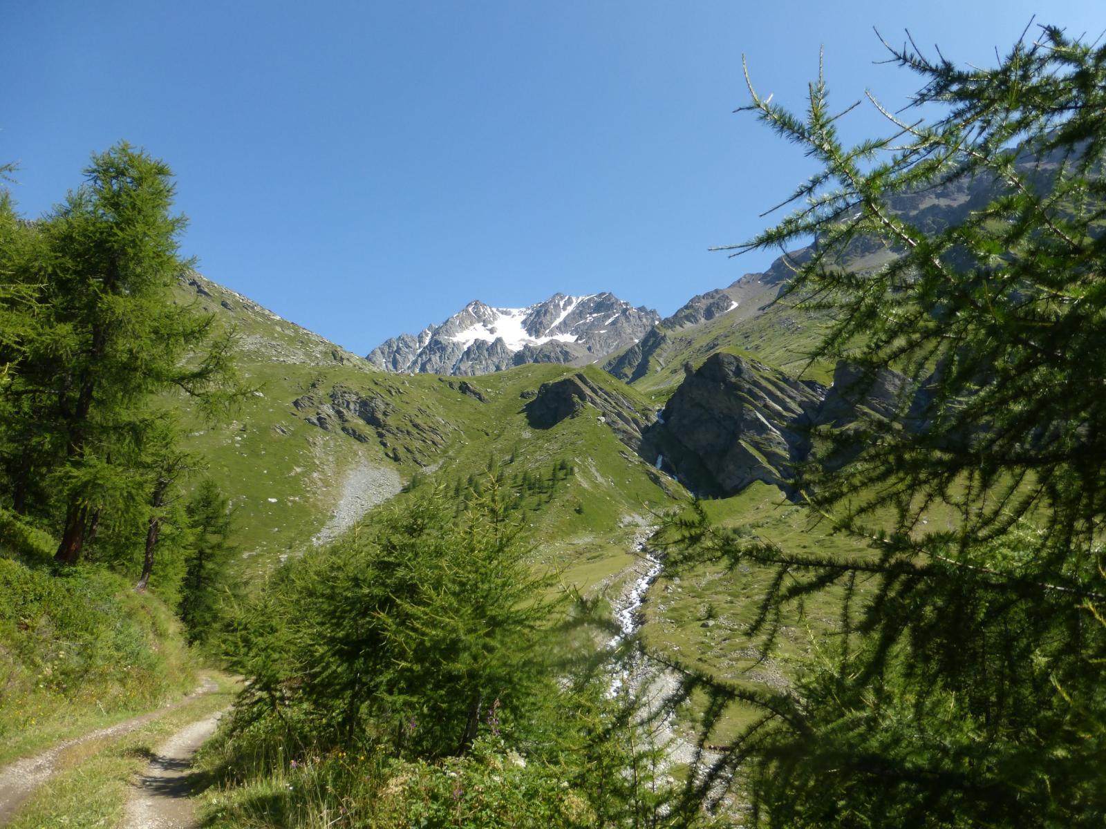 inizio del vallone del Menouve con sfondo del Velan