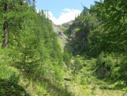 prima parte della Valle dei Mandarini