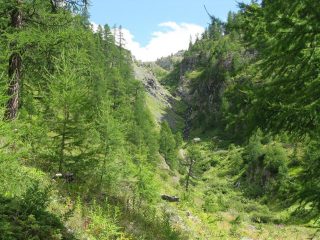 prima parte della Valle dei Mandarini