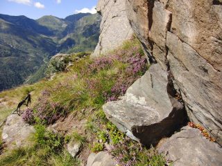 La sedia a q.ta 1.900