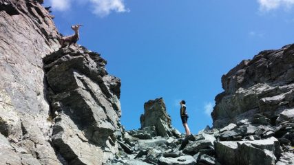 Asteroide in avvicinamento