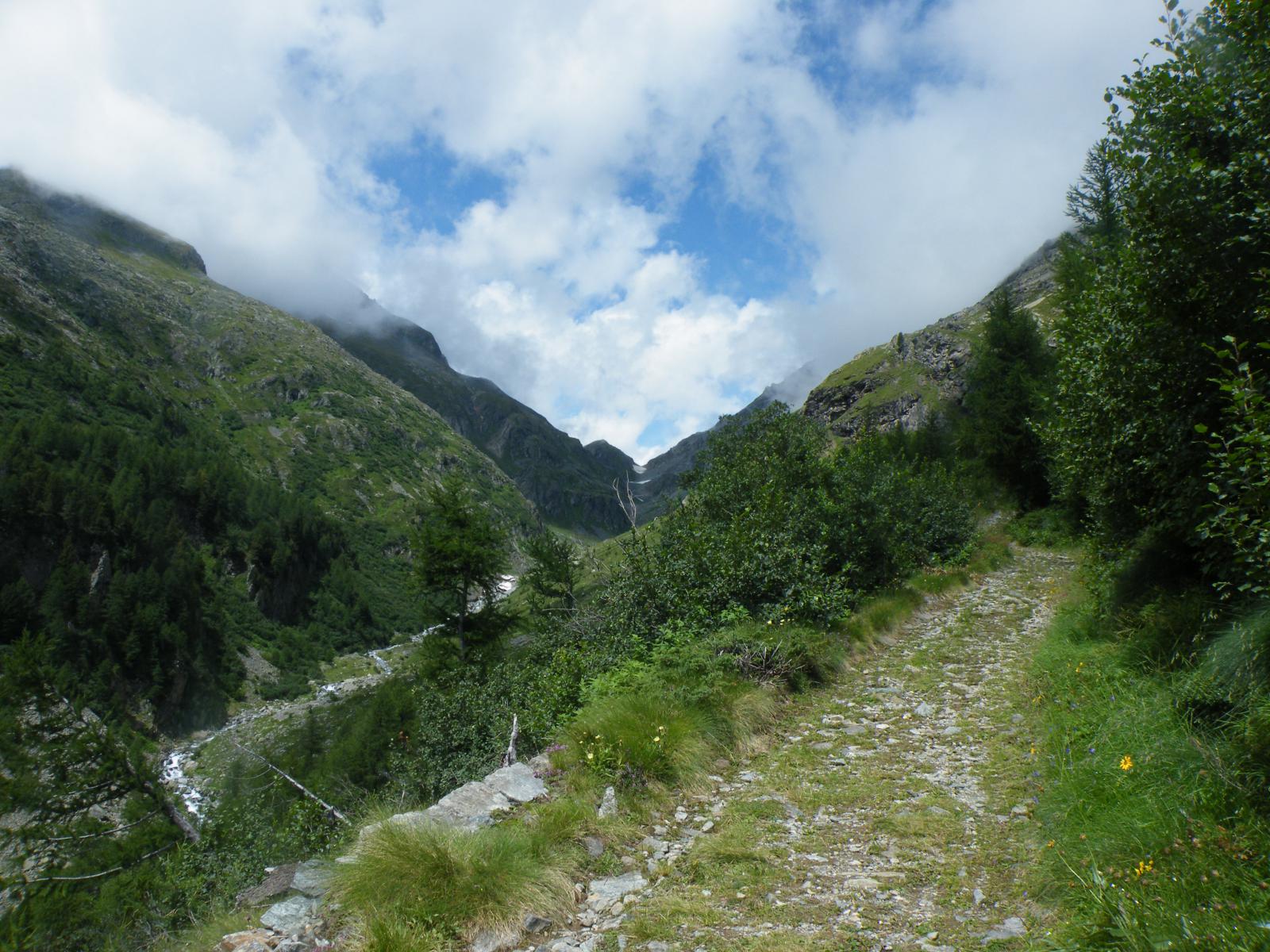 percorso evidente