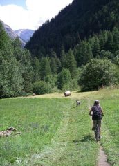 discesa su pista nei prati