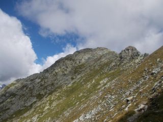 Tagliaferro