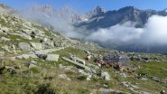 all'Alpe Loserai di Sopra