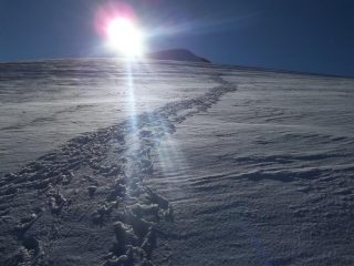 pedio terminale per la Kurz