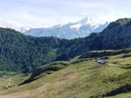 vista sulla Grivola