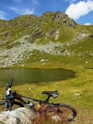 laghetto  delle rane
