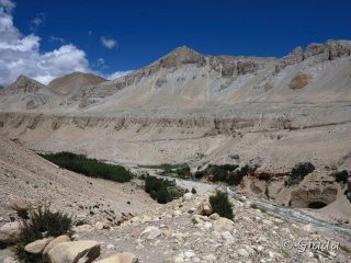 Panorami dal Mustang
