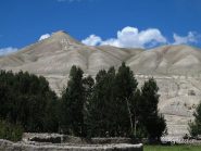 Alberi e fortilizi a Lo Manthang