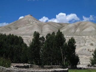 Alberi e fortilizi a Lo Manthang