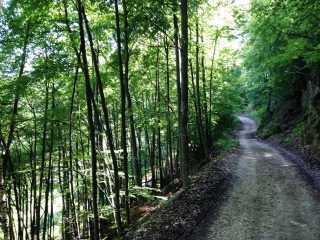 Discesa dopo il colletto