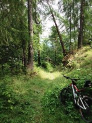 Inizio single track verso Garino