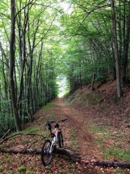 Itinerario avventura