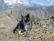 Frank in vetta e Mont Tapie sullo sfondo