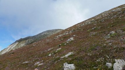 finalmente la cima