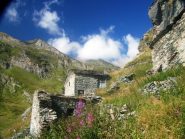 casolari di Pietramorta