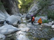 torrente ben segnalato