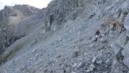 Beppe nel traverso in salita