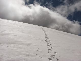 Traccia su neve dura