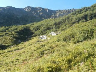 Alpe Scarpia di Sopra 