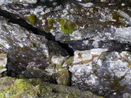 La grotta con il tesoro... e il rospo magico