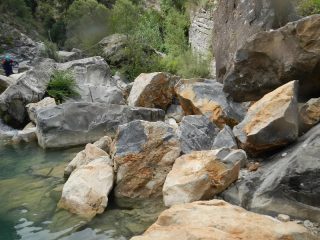 pillole recenti