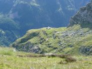 Alpeggio panoramico in posizione molto invidiabile