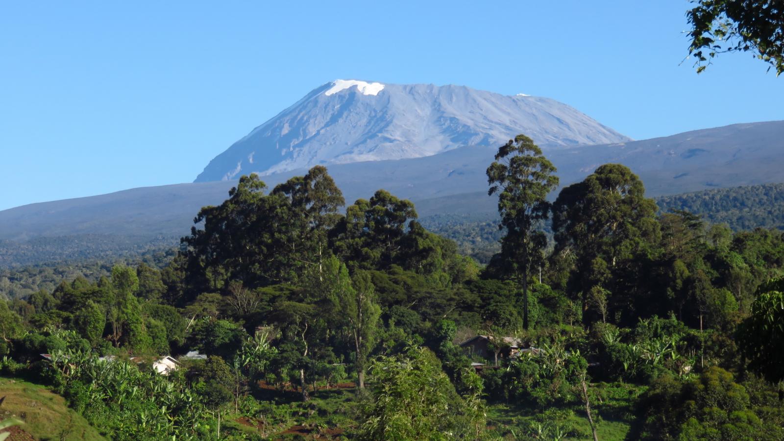 una bella visuale sul Kilimanjaro dal nostro lodge a Marangu (21-8-2014)