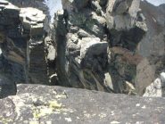 il caratteristico Foro