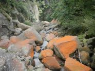 un'oasi incontaminata.