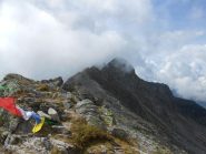 I Gemelli dal Colle della Mologna Grande