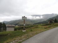 alpe Motta alta