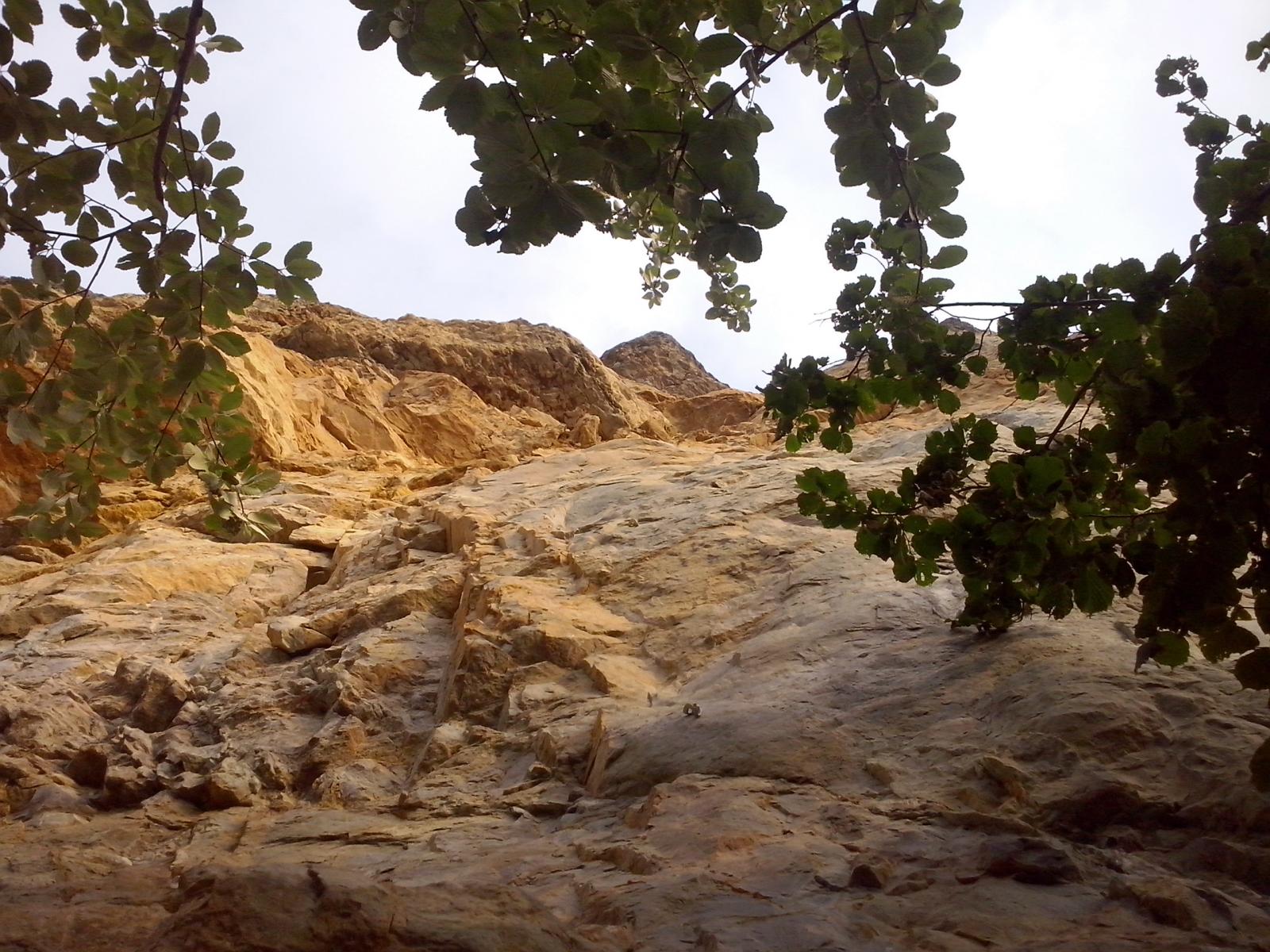 L1, 7a, amanita falloide, tanto bella quanto velenosa