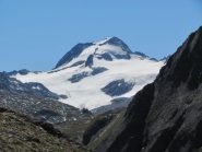 Punta d'Arbola