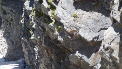 incollato alla roccia